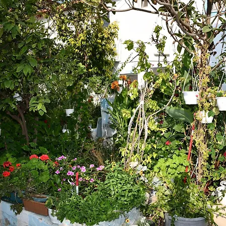 Suat Butik * Αλικαρνασσός