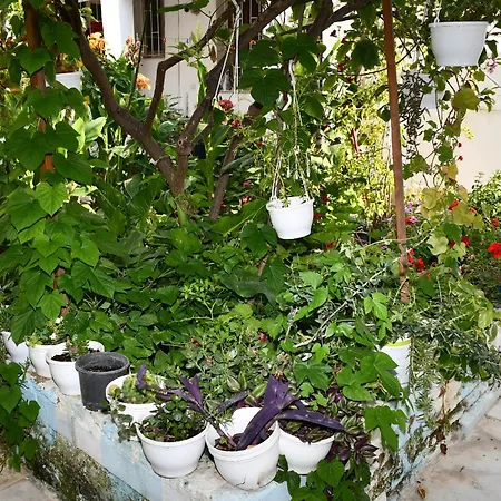 Suat Butik Hotel Bodrum